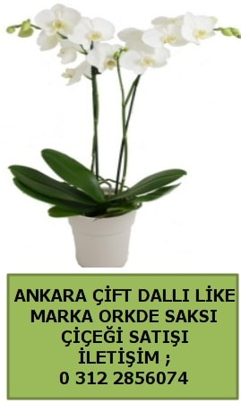 Ankara Baak orkide sat